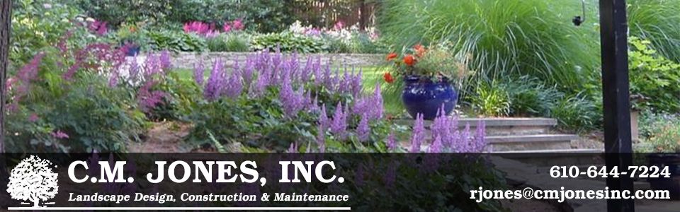 CM Jones Inc. comprehensive landscsape construction