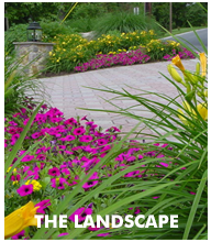 Landscape Services - CM Jones Inc. comprehensive landscsape construction